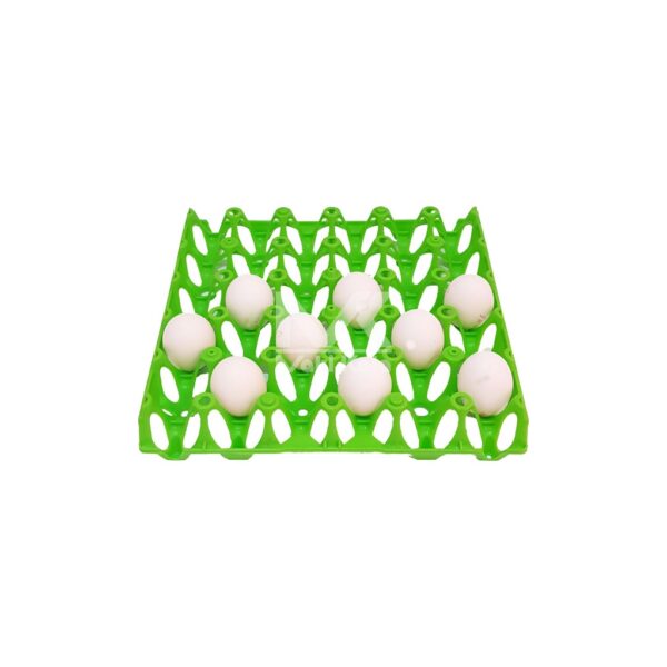 green Egg Tray
