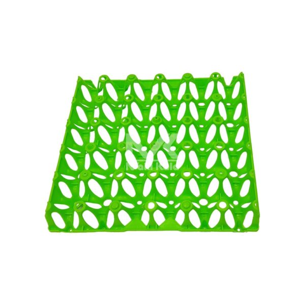 green plastic egg tray