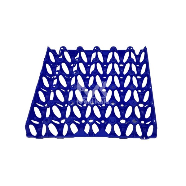 blue plastic egg tray