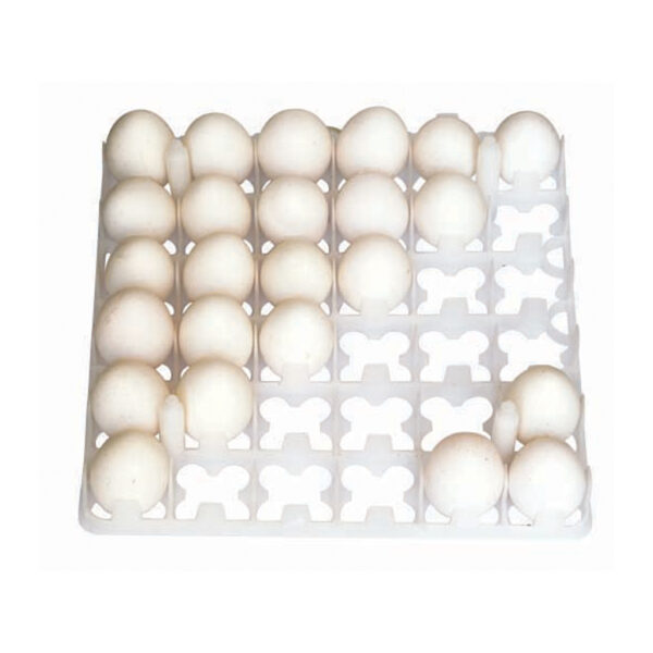 Egg Setter Tray 36