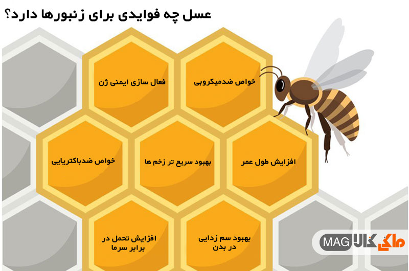 عسل و ترکیبات گیاهی موجود در آن، فواید زیادی را برای سلامتی زنبورها به ارمغان می آورد.