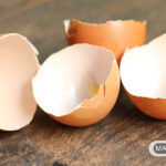 دیگر پوسته های تخم مرغ را دور نریزید.