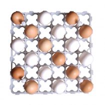 شانه تخم مرغ دستگاه جوجه کشی 36 عددی پارس مدل PT-403