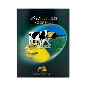 کفش درمانی استاندارد